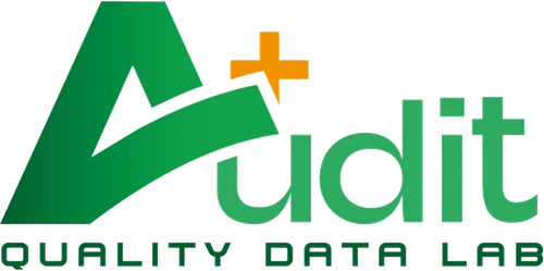 Audit – Quality Data Lab